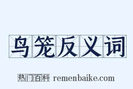 鸟笼反义词是什么意思的图片